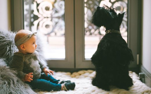 Bringing home baby: Helping your pets cope